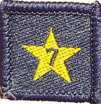 Membership Year Star Badge - 7