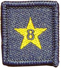 Membership Year Star Badge - 8