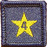 Membership Year Star Badge - 4