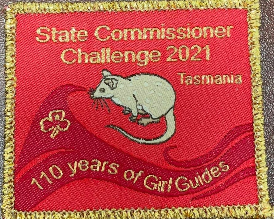State Commissioner Challenge 2021